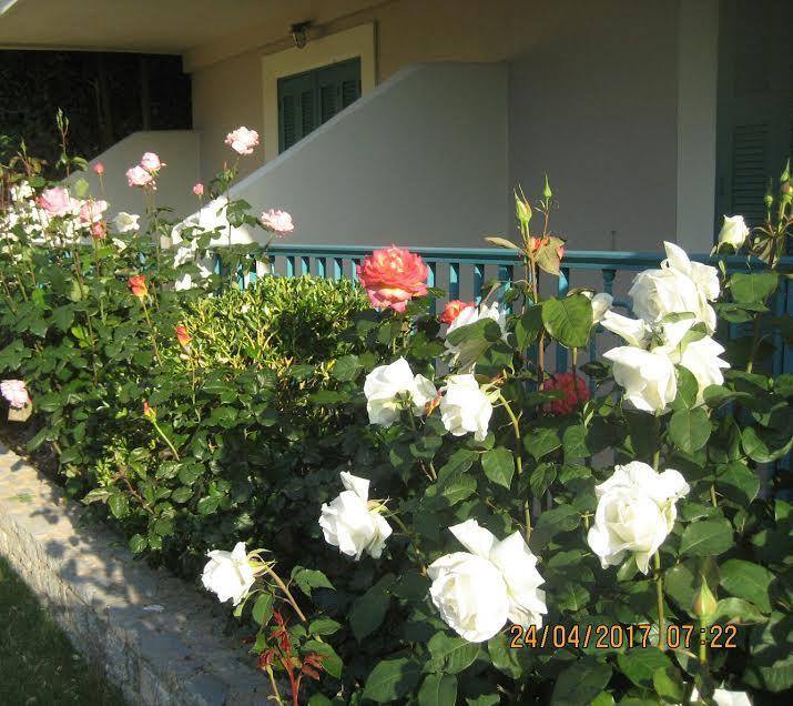 Kyveli Hotel Apartments Vrontádos Exterior foto